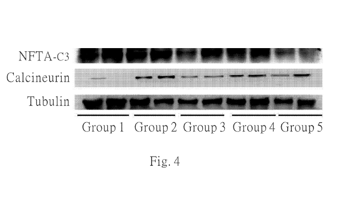 Fig.4